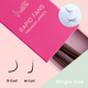 Rapid Pro-made Single Fans D & M curl PRE-ORDER DELIVERY AUG/SEPT